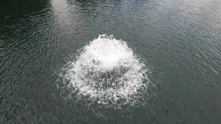 looking for fish at Alvaston Lake