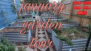 Back with some garden🥰 #backyardgardening #gardening  #garden #growyourownfood 