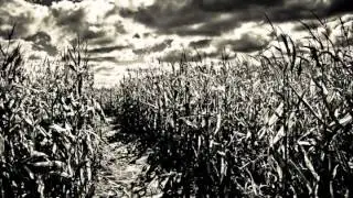 Tony Jenkins - Children of the Sweet Corn (Reaper Version)