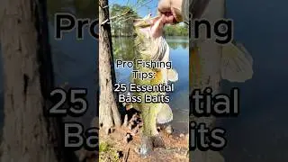 Я создал полное руководство по наживкам для ловли окуня #bassfishing #bassbaits #basslures #ebook