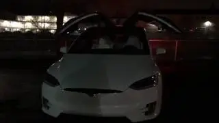 Tesla Model X Holiday Easter Egg