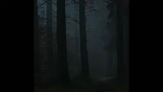 slowdive - when the sun hits (slowed + reverb)