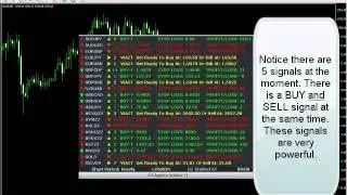 Make 800 pips straddle forex trading on Metatrader