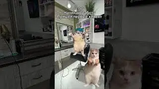 ОДИН ДЕНЬ ИЗ ЖИЗНИ МАСТЕРА #hair #hairsalon #haircut #hairtok #hairdye #funny #hairstyle