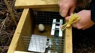 Reset a Tested & Sprung Trap