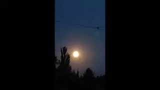 Полнолуние
