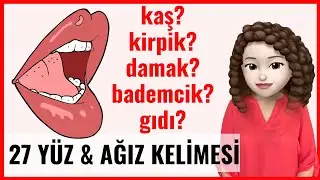 İngilizce Kelimeler | 27 Yüz, Kafa ve Ağız Kelimesi (Amerikan İngilizcesi Öğren)