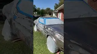 Temporary paint job on the 1971 Mustang $50 rustoleum paint