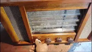 HMV Vintage Marconi Valve Radio - Fully Working & Well-Maintained | Rare Collectible for Audiophiles