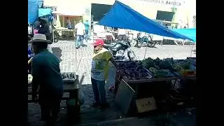 feira livre de Angicos RN @quintalangicosrn  inscreva-se ajudem um iniciante 🙏🙏🙏🙏