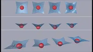 Grasshopper Kangaroo simulation membrane