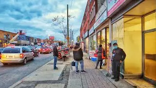 Toronto Walk - Oakwood Village to Little Jamaica