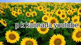 How to kannada in information tech news  Technical Mobile Videos Kannada