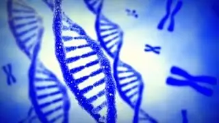 Genetic Expression with Clinical Grade Essential Oils