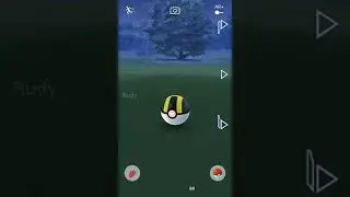 A wild seadra appeared ! // with High CP // 100iv // ポケモンGO // Rudy Runner