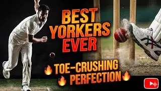 🔥 Best Yorkers Ever Bowled in Cricket History | Toe-Crushing Perfection 🔥
