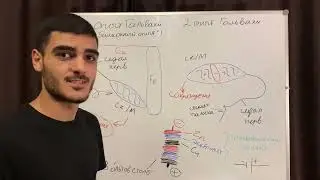 Открытие биопотенциалов. Опыты Гальвани.