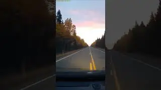 Bull Moose CHARGES Moving Car on Wyoming Highway 😱
