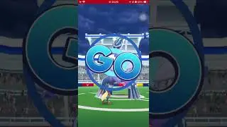 full raid origin & normal dialga