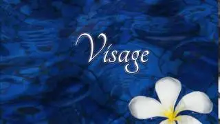 How to pronounce visage in French