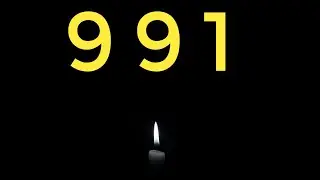 991