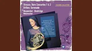 Horn Concerto No. 1 in E-Flat Major, Op. 11: III. Allegro