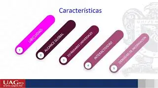 Comercio Electr&oacute;nico
