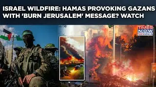 Watch Israel Wildfire| Hamas Calls For Arson, Provokes Palestinians To Burn Jerusalem Amid Gaza War?