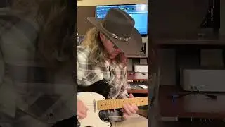 Angry Cat - Micro POG & Telecaster @EHX @fender #guitar #solo #instrumental #guitarist #musician