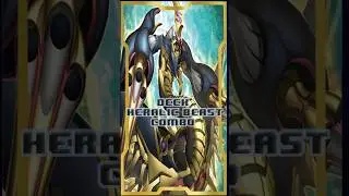 Deck Heraldic Beast Post Alliance Insight (Junio 2025) Replays and Decklist |EdoPro| #yugioh #edopro
