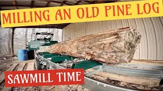 Milling An Old Pine Log: Sawmill Time