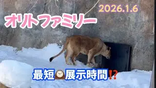 【旭山動物園】今日は外に出たくない気分⁉️