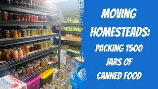 Packing 1500 Mason Jars of Canned Food & the Secret to Orange Egg Yolks