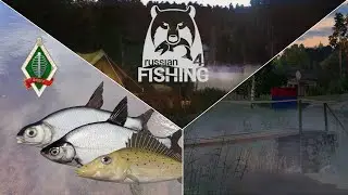 Feeder-Herausforderung bearbeiten Zobel, Zope, Don - Ehrenfischer Windenbach | Russian Fishing 4