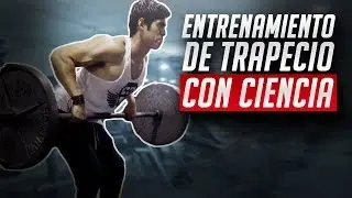 El mejor entrenamiento de trapecio / CIENTÍFICAMENTE COMPROBADO
