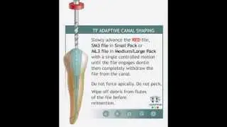 TF Adaptive From Axis|SybronEndo