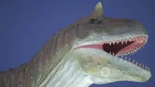 Dinosaurs are a diverse group of reptiles of the clade Dinosauria. details