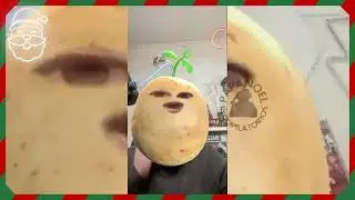NUEVA MEMECOIN + BUG DE FIBRA GRATUITA + NUEVOS RANGOS EN DIPLOMATICOS + PAYASO DIGITAL FOREVER