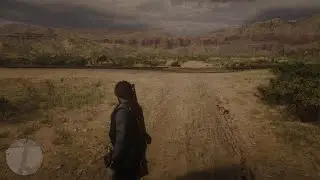 RDR2 - Poor Timing