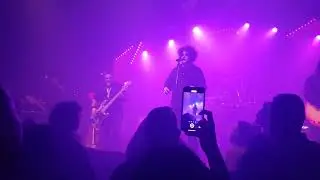 Love Cats - Boys Don't Cry - The Cure Tribute from Houston, TX