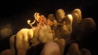 Nightdive Stonetown Zanzibar 09.2016
