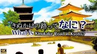 【きぬかけの路 / 京都】仁和寺・龍安寺・金閣寺を巡る古代の路を歩く🚶💨｜🇯🇵Japan Travel Vlog