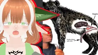 Animals that Got the Middle Finger from Evolution... ll Bat Vtuber Reacts