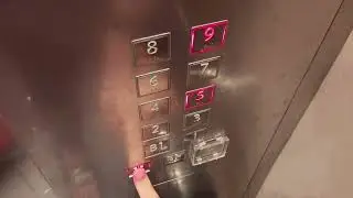 [2nd 2026 Special] Nice 2X KONE MiniSpace High-Speed Traction Elevators at Peninsula Plaza Mall