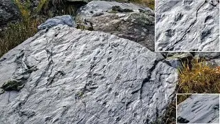 ANCIENT ECOSYSTEM FOUND IN ITALY!