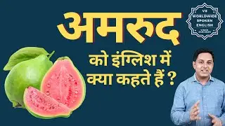 What is Amrud called in English | English meaning of Amrud | Spoken English classes