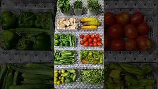 how to arrange vegetables in fridge