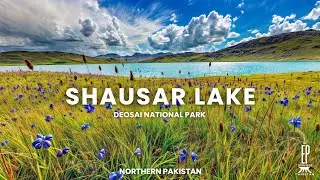 Shausar Lake &ndash; The Hidden Gem of Gilgit-Baltistan | Breathtaking Beauty of Deosai National Park
