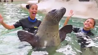 Miami Seaquarium