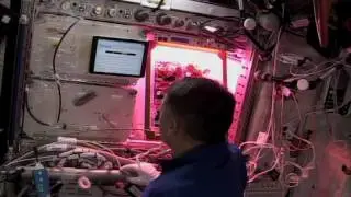 NASA: Veggie Experiment Downlink